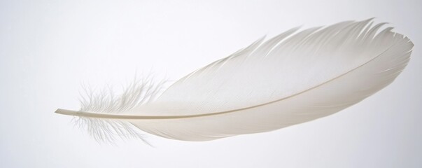 An elegant white feather gently floating against a plain white backdrop, highlighting its delicate texture and motion.