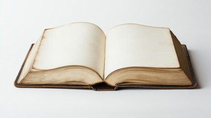 A book is open to a blank page. The book is old and has a worn look to it