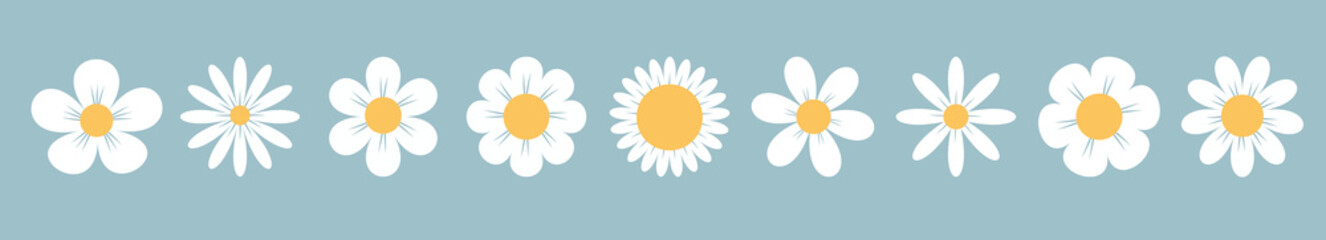 White daisy chamomile set line. Camomile icons. Cute round flower head plant collection. Love card symbol. Growing concept. Simple flat design. Nature childish style. Isolated. Blue background. Vector