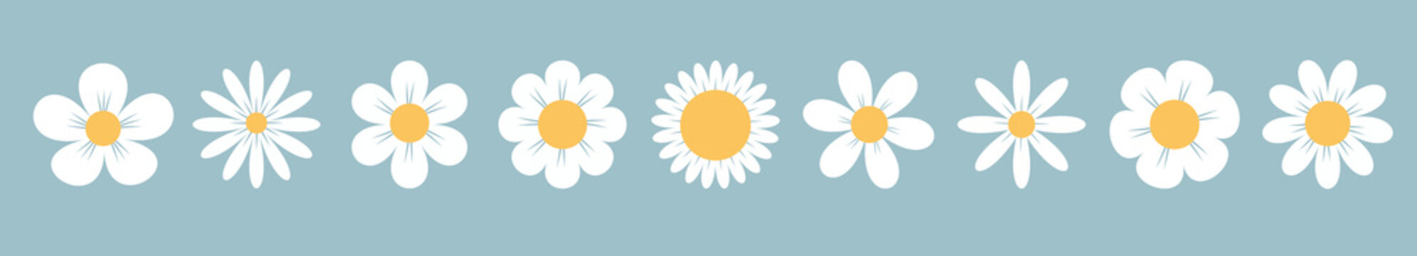 White daisy chamomile set line. Camomile icons. Cute round flower head plant collection. Love card symbol. Growing concept. Simple flat design. Nature childish style. Isolated. Blue background. Vector