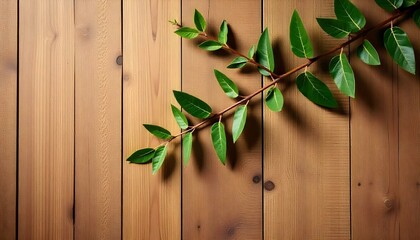 Obraz premium floral decorative wallpaper background