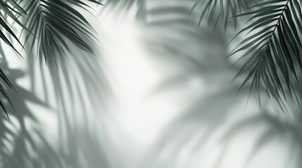Obraz premium Empty abstract background in neutral gray colors for product presentation. Shadows of tropical palm leaf on wall background 