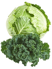 cabbage isolated on white background