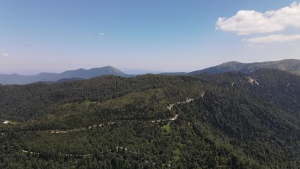 Mountian Green Trees Forest Aerial View