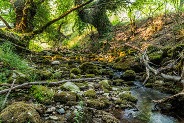 View of Milaon River near Elati village on Peloponnese peninsula, Greece