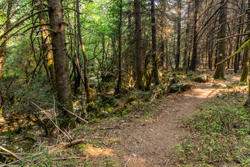Menalon trail  and Milaon River near Elati village on Peloponnese peninsula, Greece