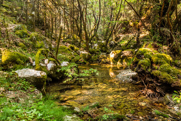 Milaon River near Elati village on Peloponnese peninsula, Greece