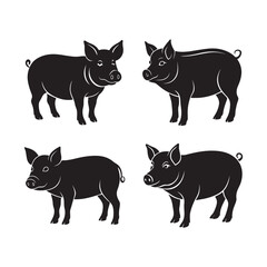 set of pig silhouette, black and white silhouette, vector and illustration