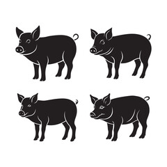 set of pig silhouette, black and white silhouette, vector and illustration
