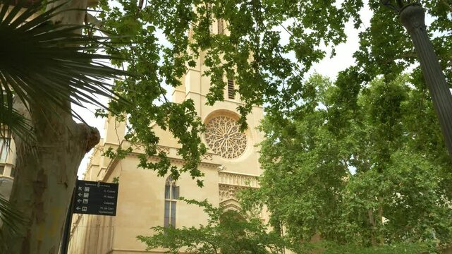 Church through the trees in Palma de Mallorca, Majorca, Balearic Islands