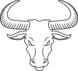 bull head line vector illustration isolated on white background
