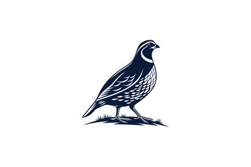 quail bird silhouette on white background