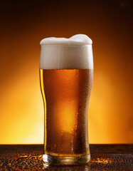 A tall glass of golden beer with a foamy white head stands against a warm amber background with condensation droplets on its surface.