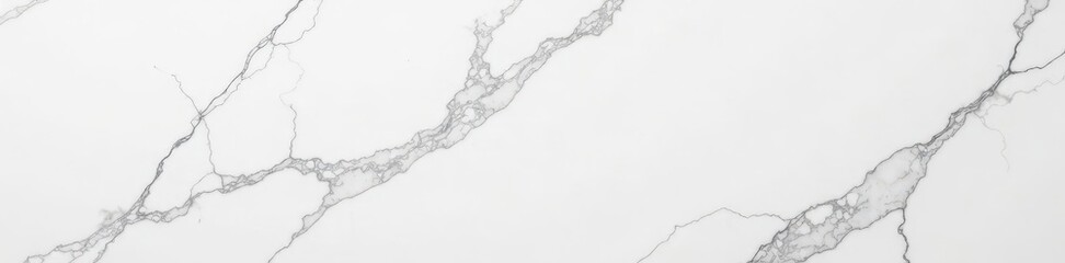 Intricate white veining on polished Carrara marble , vein, floor