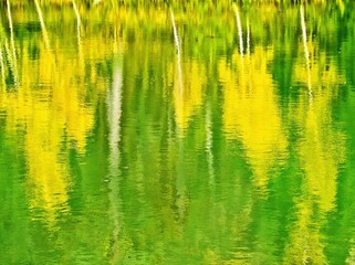 Reflection of green and yellow trees in calm water creating vibrant abstract patterns
