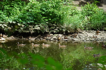 Nature Photography