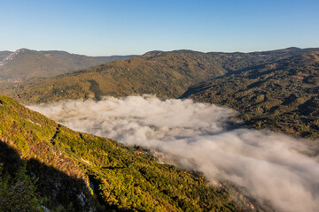 View of morning mist over Drina river valley between Serbia and Bosnia and Herzegovina from Tara National Park