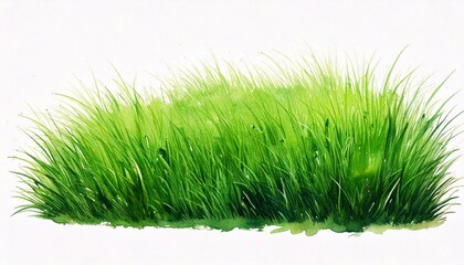 Green lawn isolated on white background. Watercolor hand drawn illustration sketch