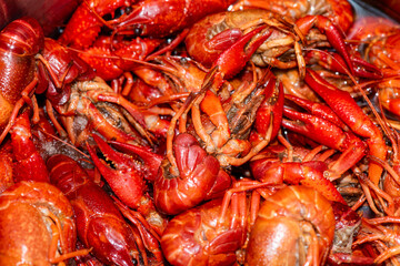 Boiled red crawfishon close up top of view