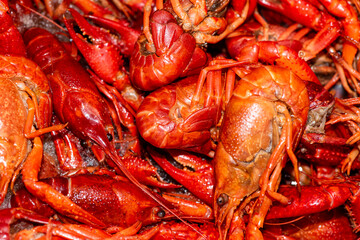 Boiled red crawfishon close up top of view