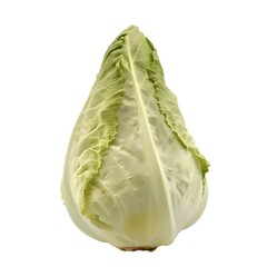 One whole pointed cabbage close up green fresh vegetable. Hispi cabbage single food. Vegetable for diet and healthy eating. Pointed cabbage isolated on white background