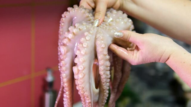 put the octopus in boiling water Chef cooking grilled octopus, japanese cuisine, man grill seafood with boiling water, raw fresh fish for sushi sashimi, boiled steamed octopus, spanish kitchen. 