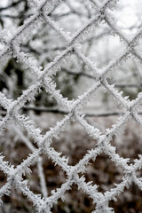 One of the dangerous phenomena that occurs in winter is frost. Unlike snow disasters, it often comes quietly and inconspicuously, often not even announced by a drop in pressure.