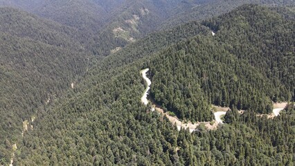 Drone footage of Zigzag Road between Forest