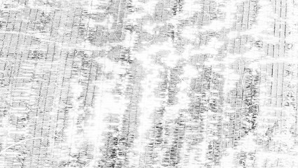 A textured grayscale image, showcasing intricate patterns and subtle variations in tone. Detailed...