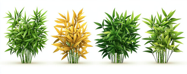 Four vibrant bamboo plants in green and yellow hues are displayed against white background