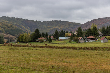 Rural landscape near Sjenica town, Serbia