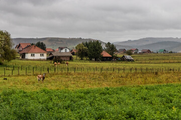 Rural landscape near Sjenica town, Serbia