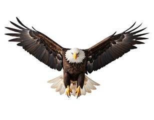 Obraz premium Majestic Bald Eagle in Flight, Isolated on Transparent Background