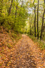Fototapeta premium Hiking trail in Derdap National Park, Serbia