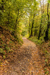 Hiking trail in Derdap National Park, Serbia