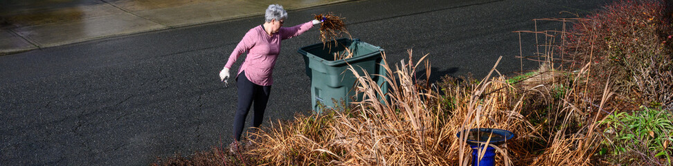 Middle-aged gray-haired woman gardener with pruning shears, winter garden cleanup work, dead leaves...