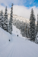 person snow-shoeing on mountain path