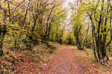 Hiking trail in Derdap National Park, Serbia