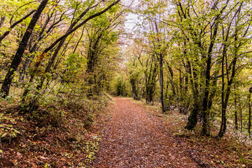 Naklejka premium Hiking trail in Derdap National Park, Serbia