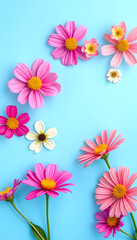 Fototapeta premium spring flowers on blue background, with white tones