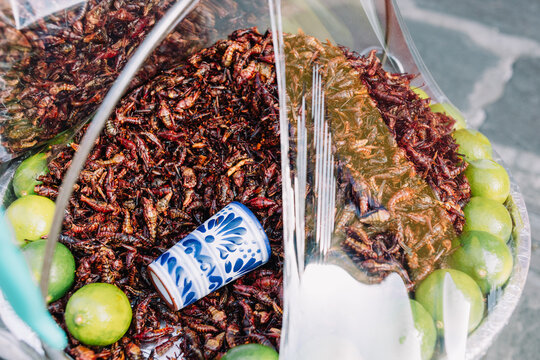 cooked grasshoppers, locally known as chapulines, are an insect street food in Mexico