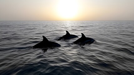 Fototapeta premium Three dolphins swimming gracefully at sunset, their silhouettes reflecting on the calm ocean waters, evoking serenity and harmony with nature during a golden evening horizon