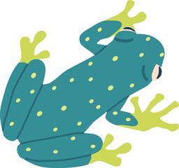 Exotic toad reptile vector illustration