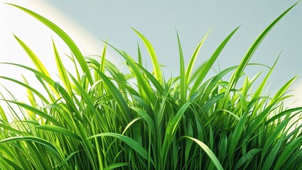 Naklejka premium Vibrant green grass blades growing in a lush cluster, showcasing nature's beauty and freshness under soft light.