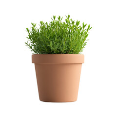 Fototapeta premium Minimal plant pot with greenery isolated