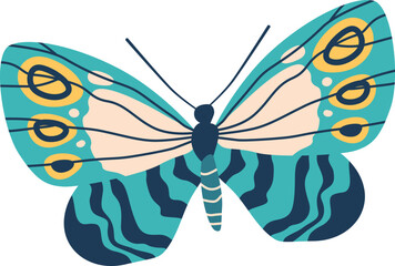 Cartoon butterfly specie vector illustration