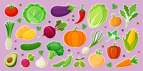 Colorful vegetables and salad stickers set. Modern Hand drawn Trendy flat style. Organic vegetarian food. Tomato onion eggplant leek potatoes corn pepper beet cucumber. Vector flat illustration