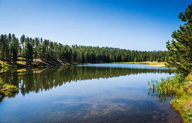 Obraz premium Roubaix Lake is a small lake located northwest of Rapid City and South of Deadwood, just west of US Highway 385.