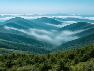 Naklejka premium Misty Mountains Rolling Green Forest Landscape