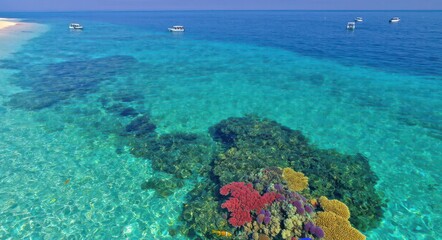 Fototapeta premium Aerial View of Stunning Coral Reefs .